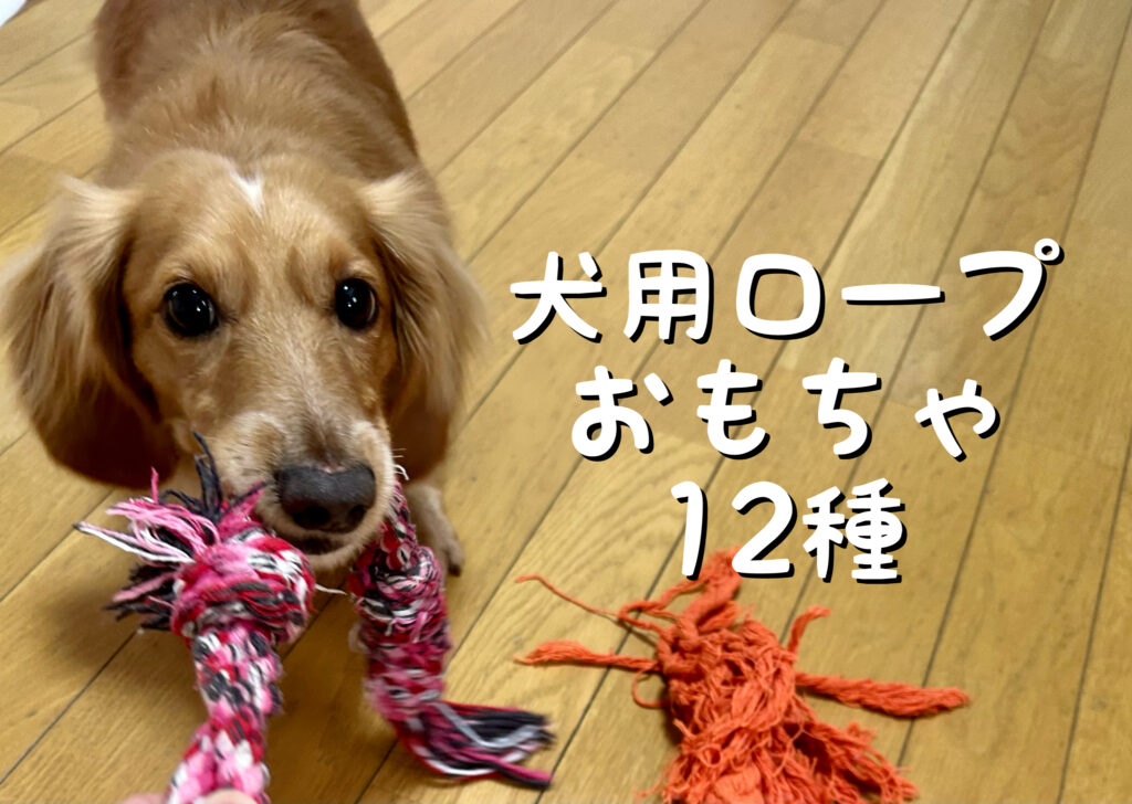 犬用ロープおもちゃ12種