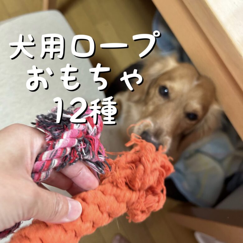 犬グッツ