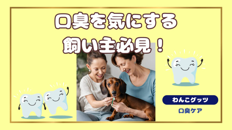 口臭気にする飼い主さん必見！